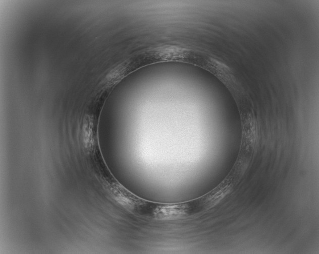 X0000057060622200509120850