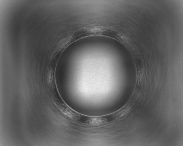 X0000057060623200509120850