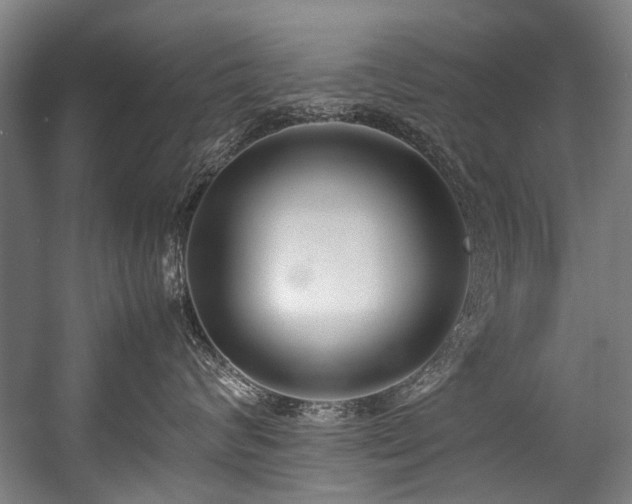 X0000057060624200509120850