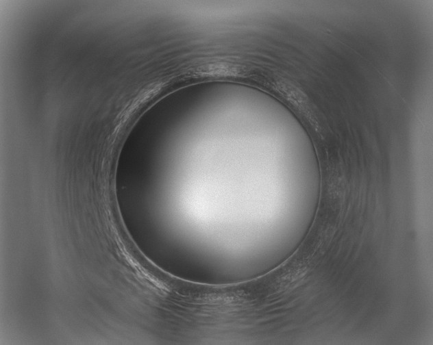 X0000057060625200509120849