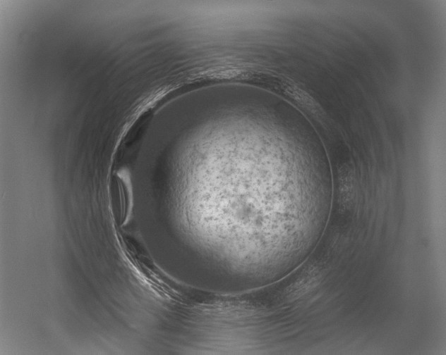 X0000057060626200509120849