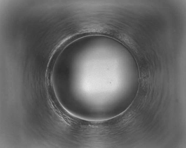 X0000057060628200509120849