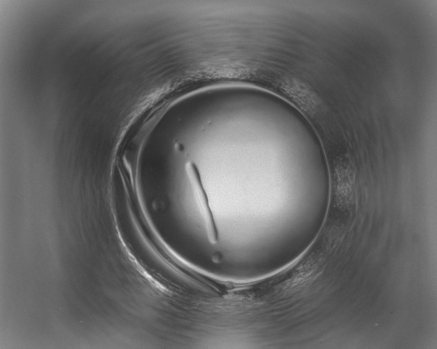 X0000057060630200509120849