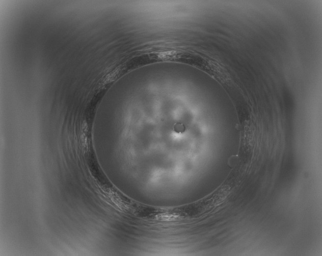 X0000057060650200509120849