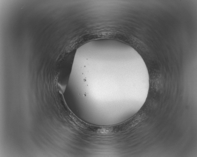 X0000057060660200509120849