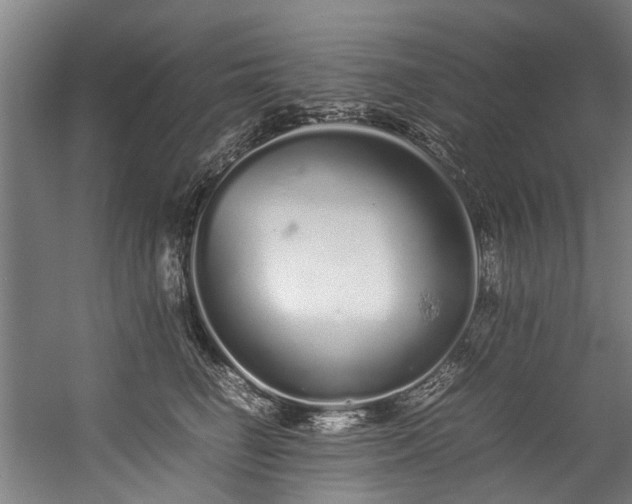 X0000057060662200509120849