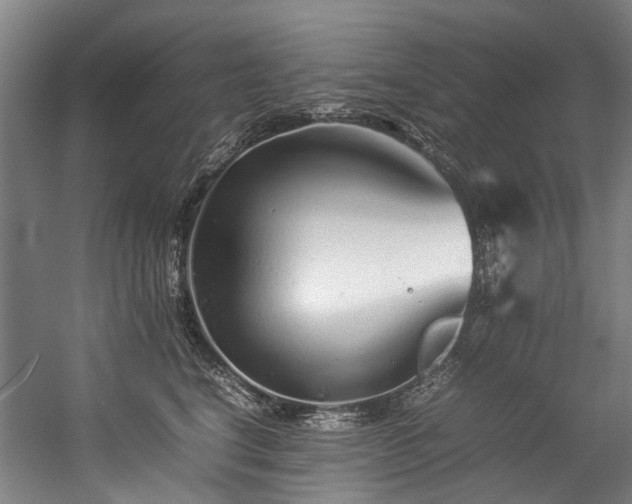 X0000057060664200509120849