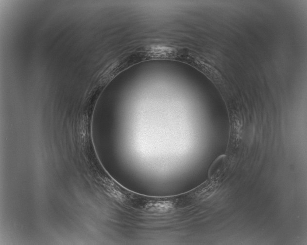 X0000057060665200509120849