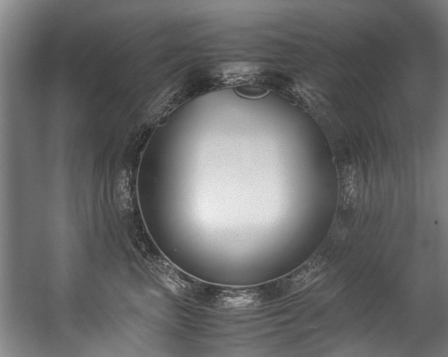 X0000057060667200509120849