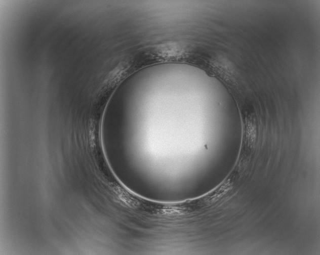 X0000057060668200509120850