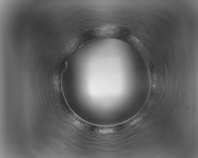 X0000057060669200509120850