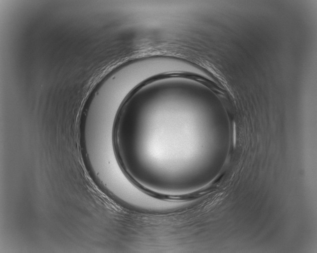 X0000057060673200509120849