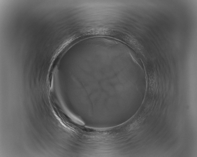 X0000057060674200509120849