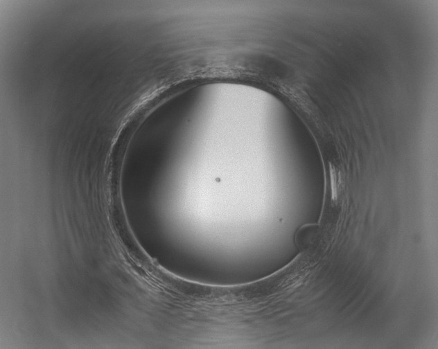 X0000057060675200509120849