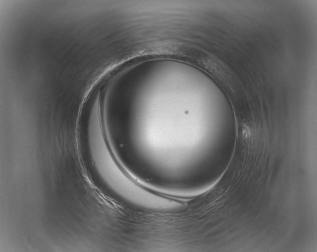 X0000057060676200509120849