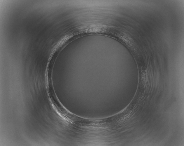 X0000057060678200509120849