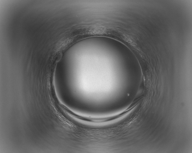 X0000057060681200509120849