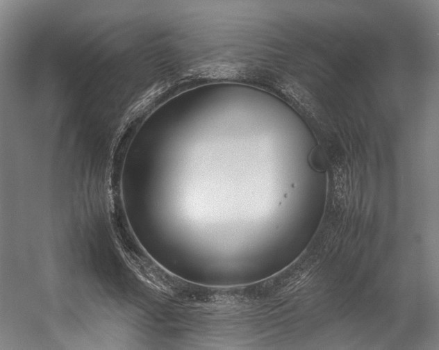 X0000057060682200509120849