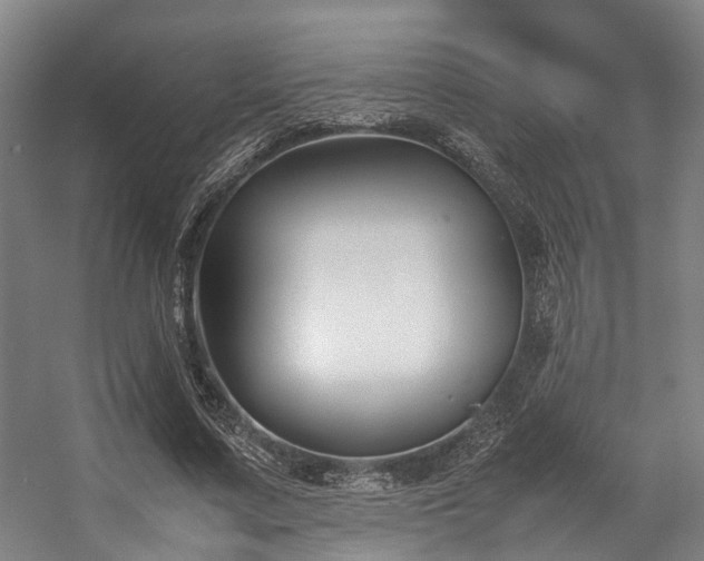 X0000057060683200509120849