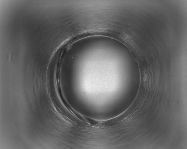 X0000057060684200509120849