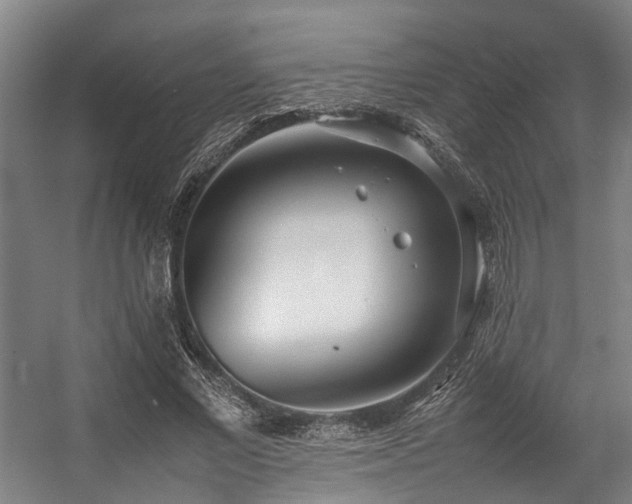 X0000057060685200509120849