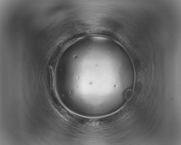 X0000057060687200509120849