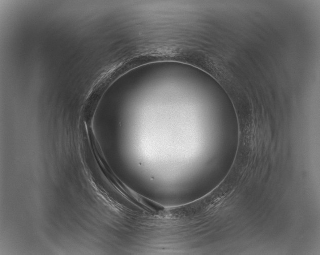 X0000057060688200509120849