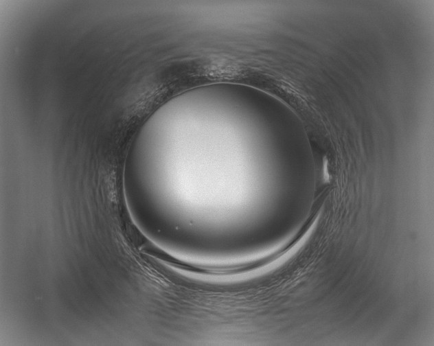 X0000057060689200509120849