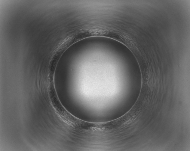 X0000057060690200509120848