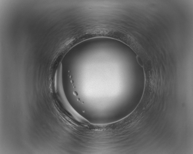 X0000057060692200509120848