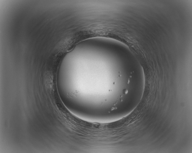 X0000057060693200509120848