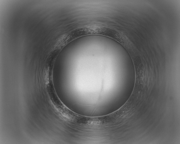 X0000057060694200509120848