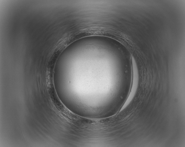 X0000057060696200509120848