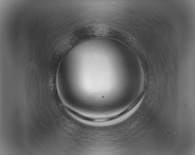 X0000057060697200509120848