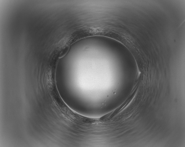 X0000057060700200509120848