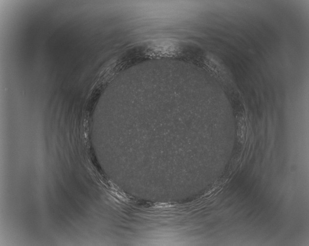 X0000057060701200509120848