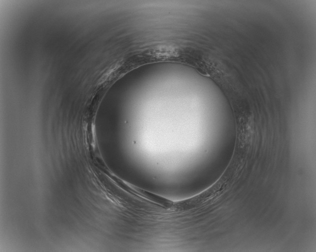 X0000057060704200509120848