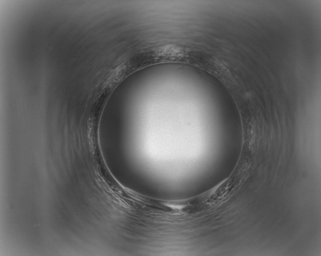 X0000057060708200509120848