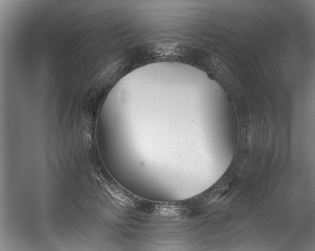 X0000057060710200509120848