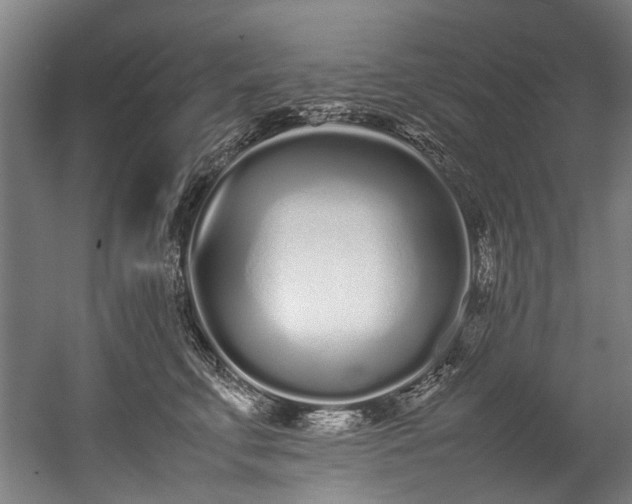 X0000057060711200509120848