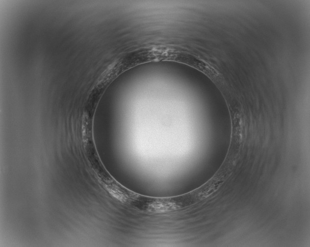 X0000057060712200509120848