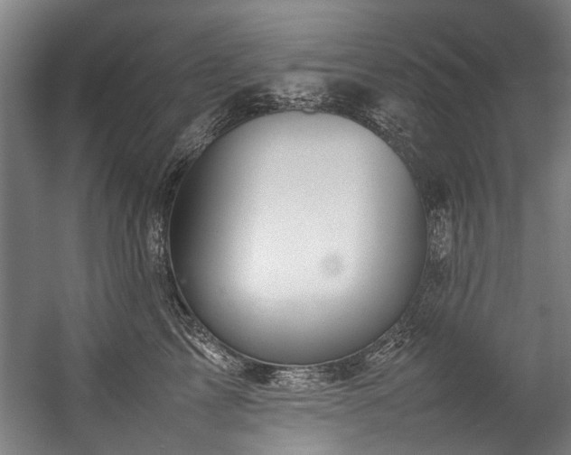 X0000057060713200509120848