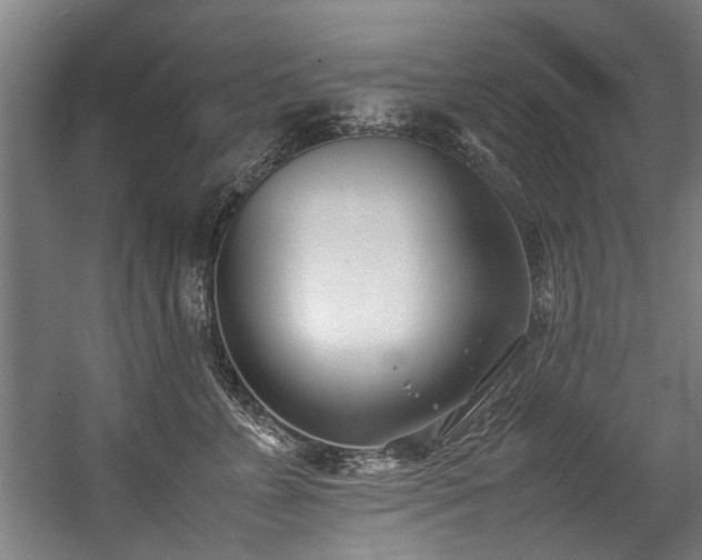 X0000057060715200509120848