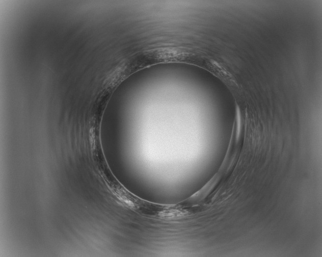 X0000057060716200509120848