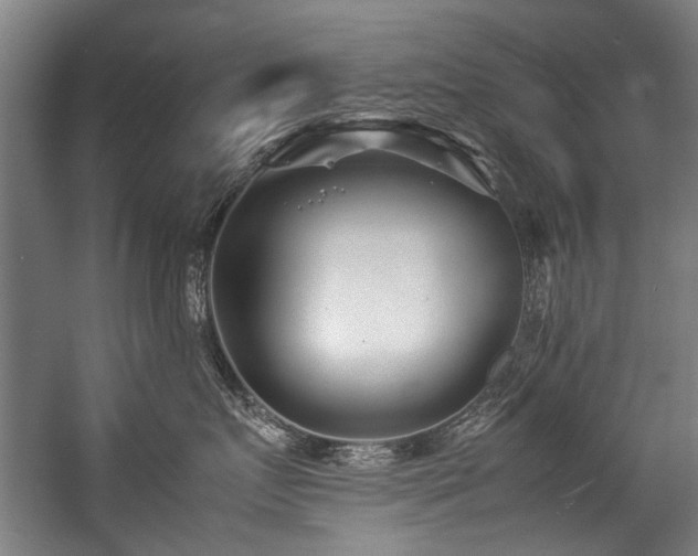 X0000057060719200509120848