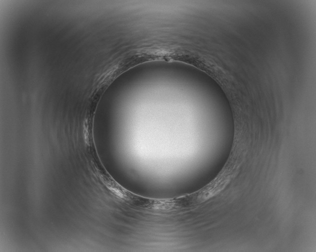 X0000057060720200509120848