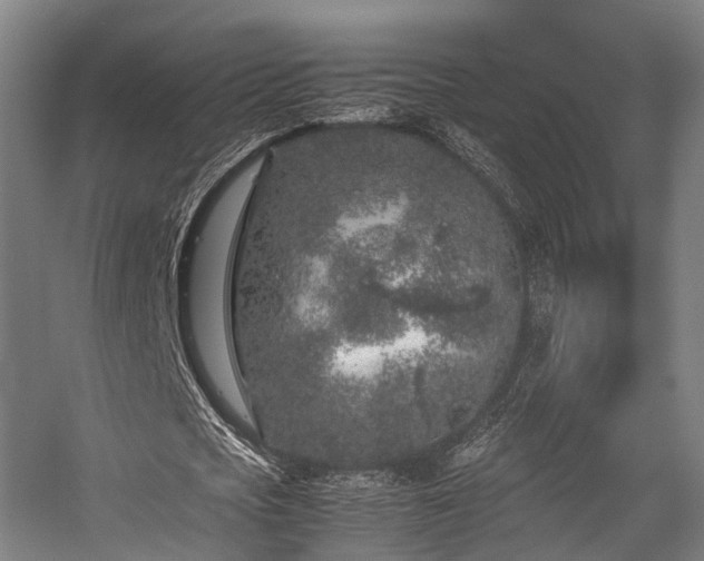 X0000057060721200509120847