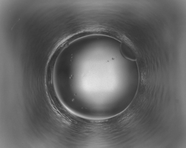 X0000057060724200509120847