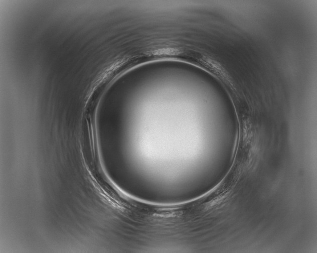 X0000057060725200509120847