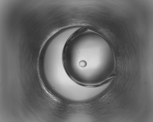 X0000057060726200509120847